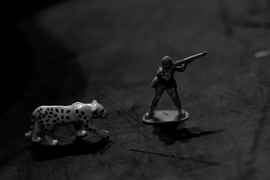 Cheetah, Soldier, B&W, Pure Reason Revolution, Norwich Arts Centre, Norwich